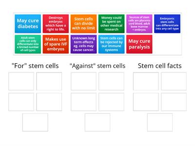 B2 Stem cells