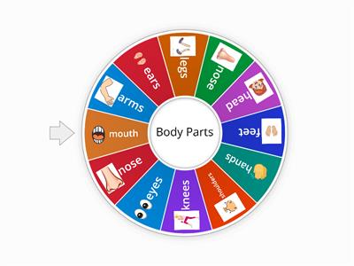 Body Parts wheel