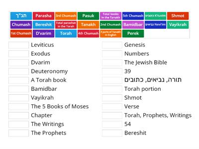  Tanakh and Torah Structure Game 