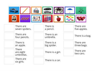 Singular - plural REGULAR