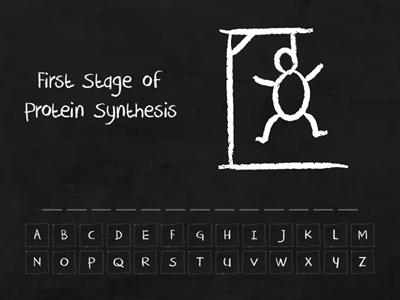 Protein Synthesis