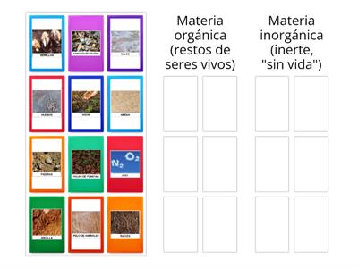 Los distintos COMPONENTES DEL SUELO