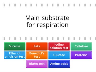 Nutrients - matching game