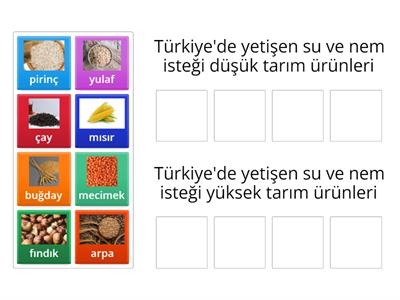 türkiye'de tarım ürünleri