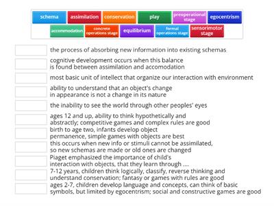 Piaget's Cognitive Development Theory Review