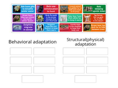 Physical and behavioral adaptations