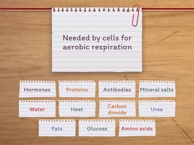 What do you find in blood plasma?