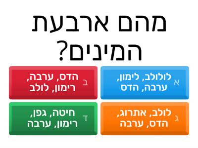 סוכות- חידון טרויה