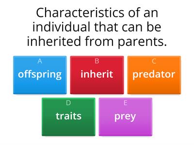 Inherited Traits Science Vocabulary 