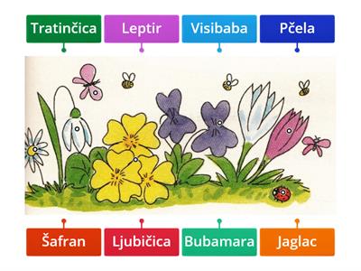 Biljke i životinje u proljeće (1.r)