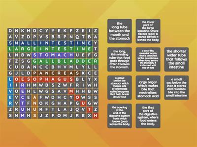 LLS Digestive System Wordsearch