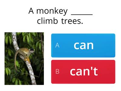 Can and Can't (Animals)