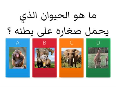 Quiz / هيا نجيب عن أسئلة قصة حديقة الحيوان