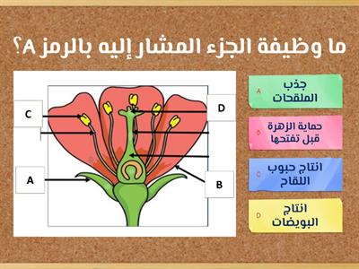 مراجعة الوحدة الخامسة النمو والتطور في النباتات