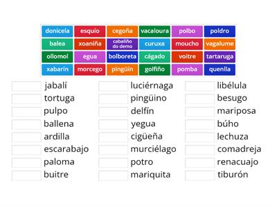 Relaciona  os  nomes  dos  animais  en galego  co  seu  correspondente  en  castelán.