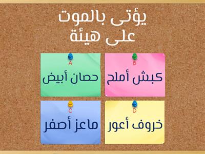 اليوم الأول - أسئلة شاملة اختيار من متعدد