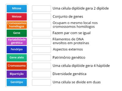 Revisão - 2ª série