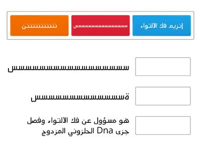 تضاعف DNA