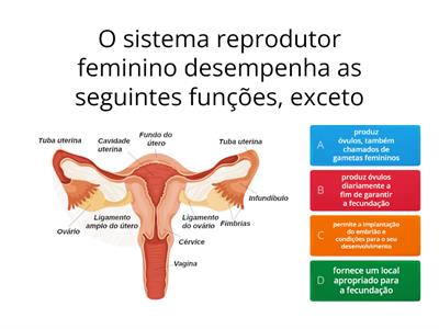 Reprodução humana