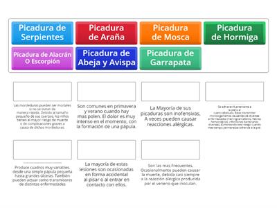 Picaduras de Insectos 