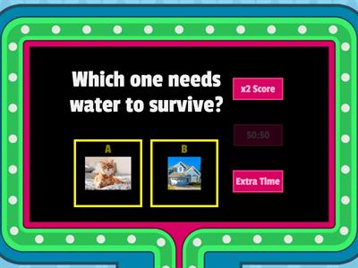 Which one needs water?