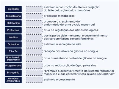 trabalho de ciências - pra que cada hormônio do sistema endócrino serve