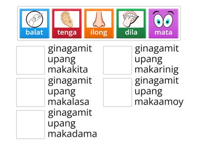 Q2 Weeks 1-4 Health "Mga Pandama"