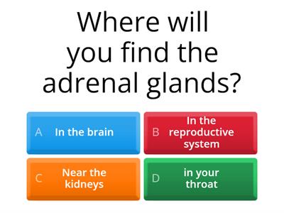 Endocrine system