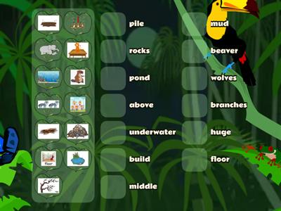 Beaver Homes Vocabulary