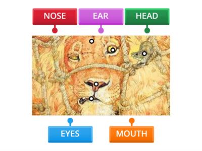 PARTS OF THE FACE