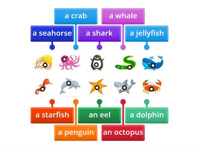 AS 3 - Unit 6 - Lesson 1 - New words (sea animals)