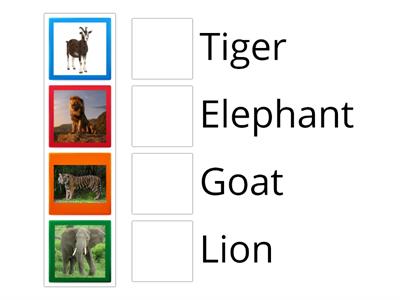 animal match up