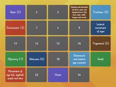 Cranial Nerves and Functions Pairing game