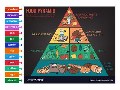 Food pyramid key words