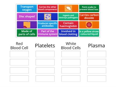 Yr10 Blood Components Fact Sort