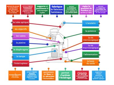 A quoi ça sert dans le microscope ?