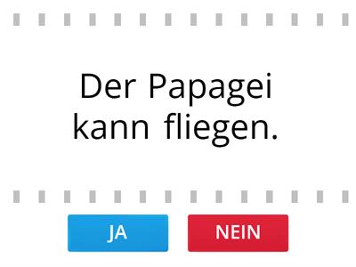 Spiel- Was können die Tiere?