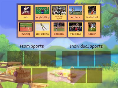  Team or Individual sport?