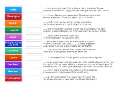 Genetics Key Word Match Up