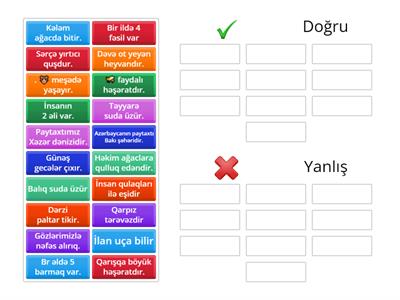  Hazırladı:Hörmət Mürşüdova OXUMA-ANLAMA