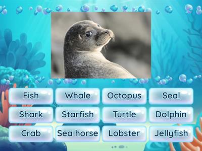 sea animals