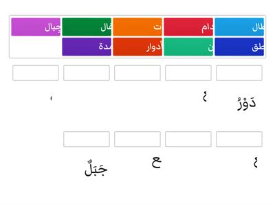   قاهر المستحيل - المفرد وجمعه - لغة عربية صف ثالث