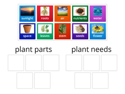  Plant needs and parts  