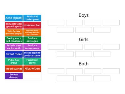 Changes during puberty KS3