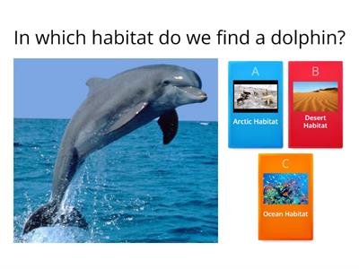  Animal habitat Quiz