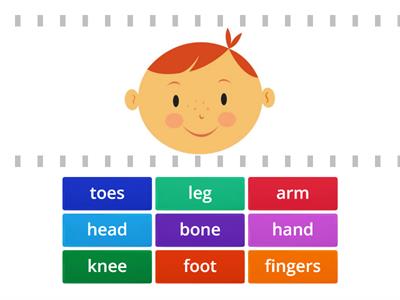 CEFR English Year 2 | Unit 8: The Robot | Body Parts 
