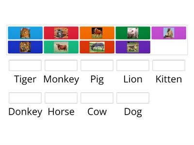 match the picture of the Animal with its name