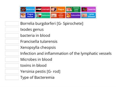 Cardiac and Systemic Bacterial Diseases