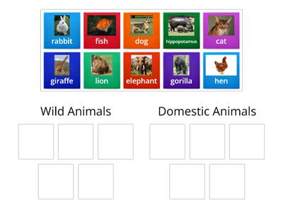 Domestic and Wild Animals