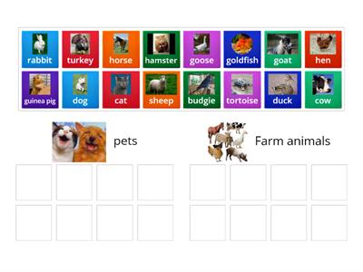 Pets and farm animals (voc) Spotlight 5 unit 5c
